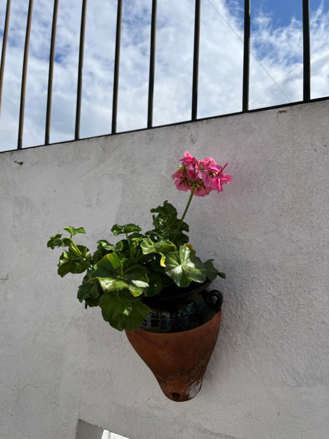 Atico Centro 17 Apartment Jerez de la Frontera Exterior photo